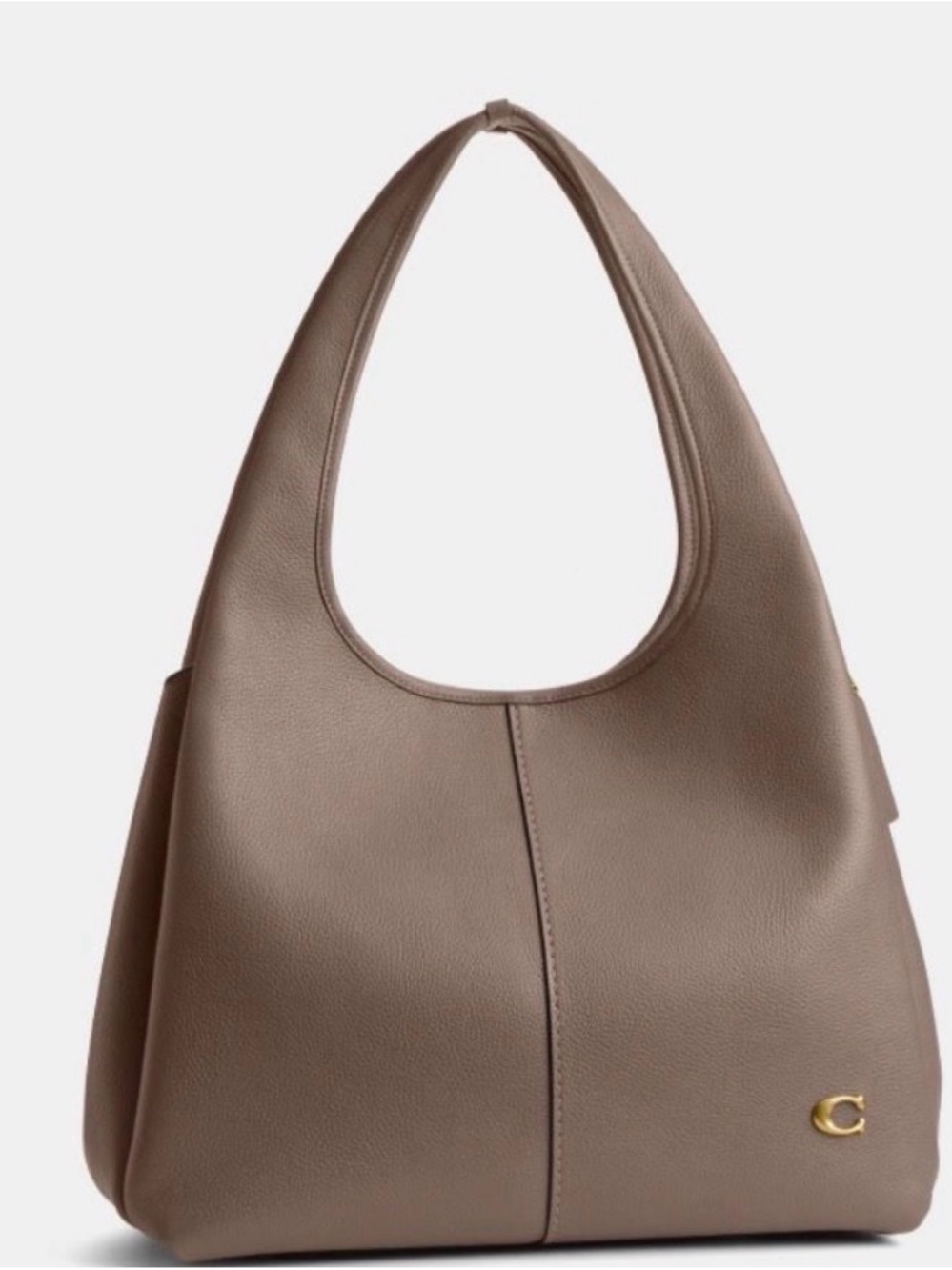 Coach Lana Leather Hobo Bag in Taupe